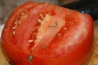Tomatoe1.jpg