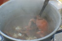steamy boil 1.jpg