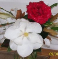 MagnoliaandRose004.jpg