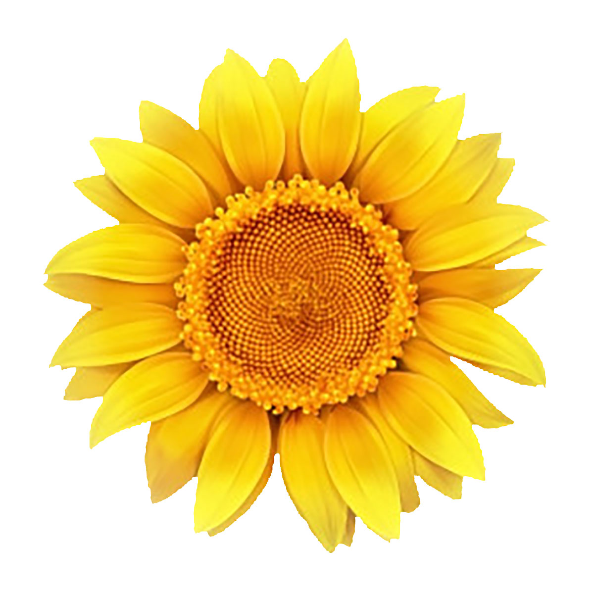 sunflower-1200.jpg