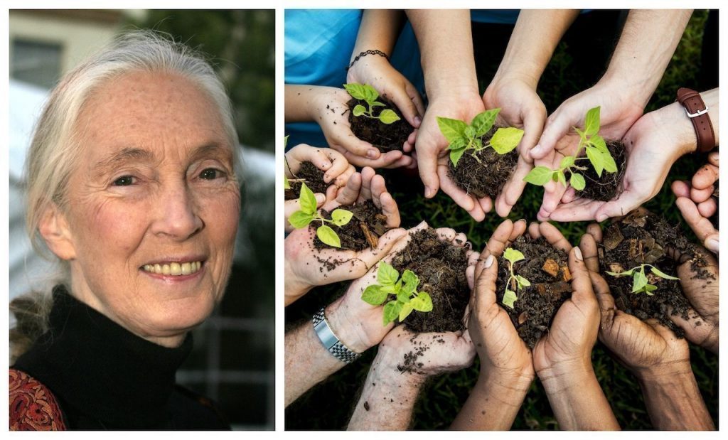 Jane-Goodall-planting-trees-1024x619-1024x619.jpg